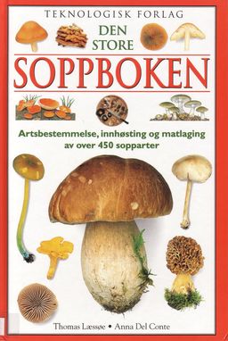 forsidebilde - trykk for å vise stor versjon