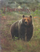 Cover photo:I bjørneskogen