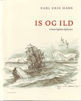 Omslagsbilde
