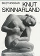 Omslagsbilde:Bilethoggar Knut Skinnarland : frå riting i berg til helgnar på heilagdom