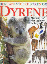 Forsidebilde