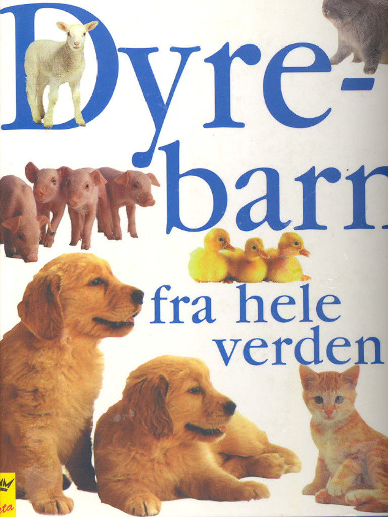 Forsidebilde