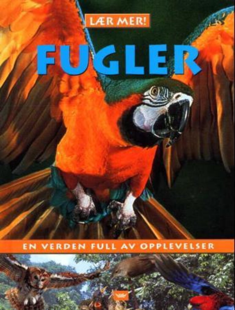 Forsidebilde