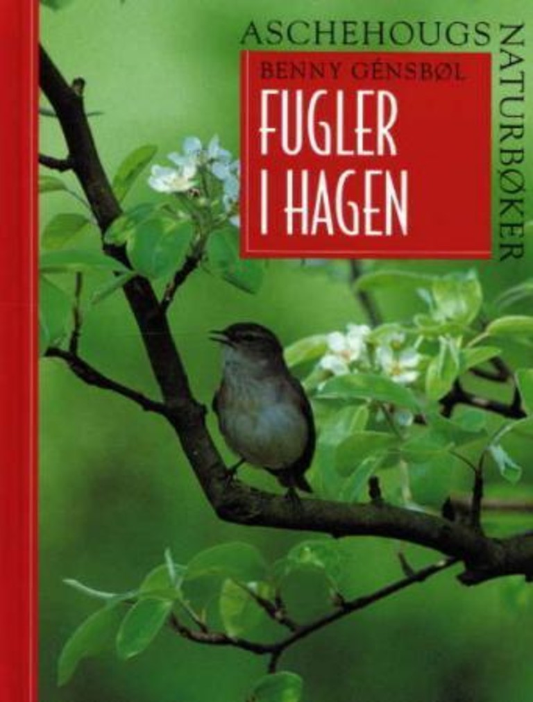 Forsidebilde