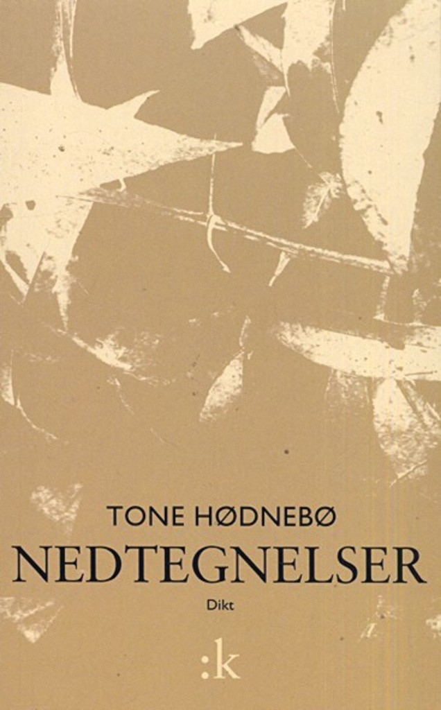 Nedtegnelser : Dikt