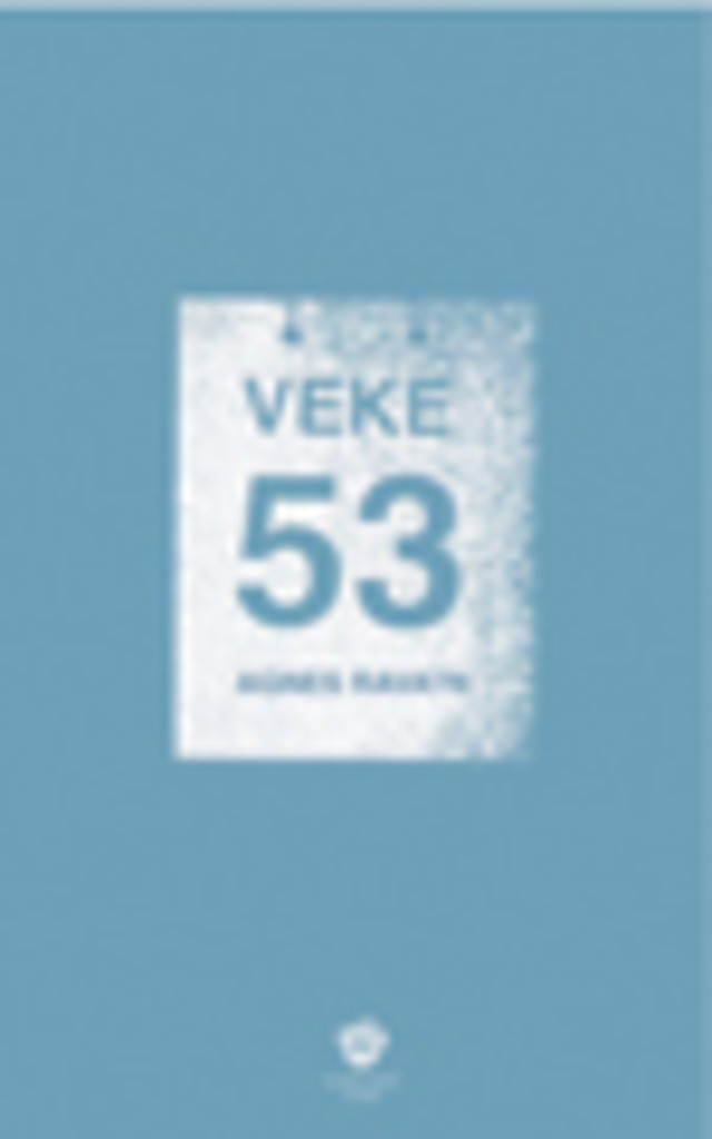 Veke 53 - roman