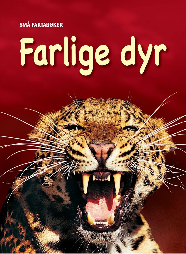 Forsidebilde