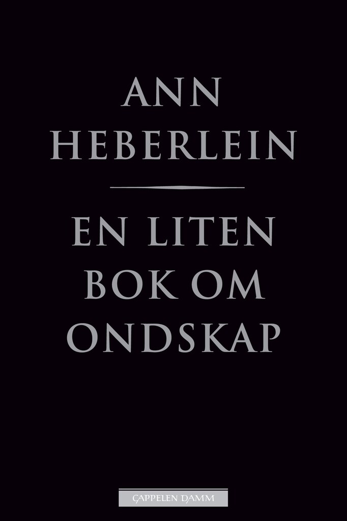 En liten bok om ondskap