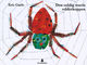 Omslagsbilde:Den veldig travle edderkoppen