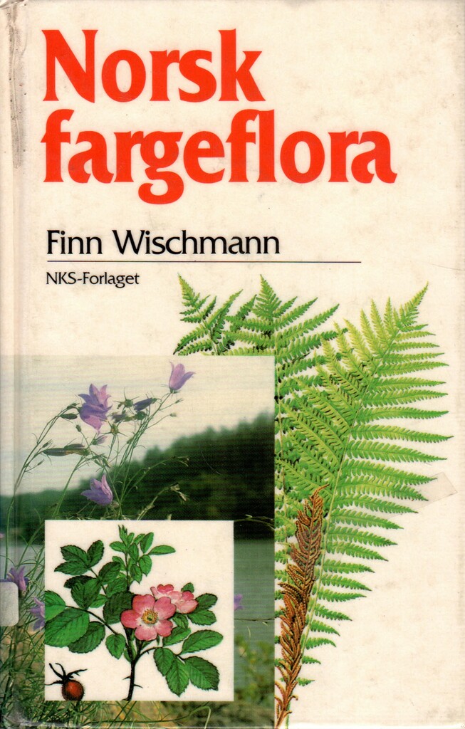 Forsidebilde