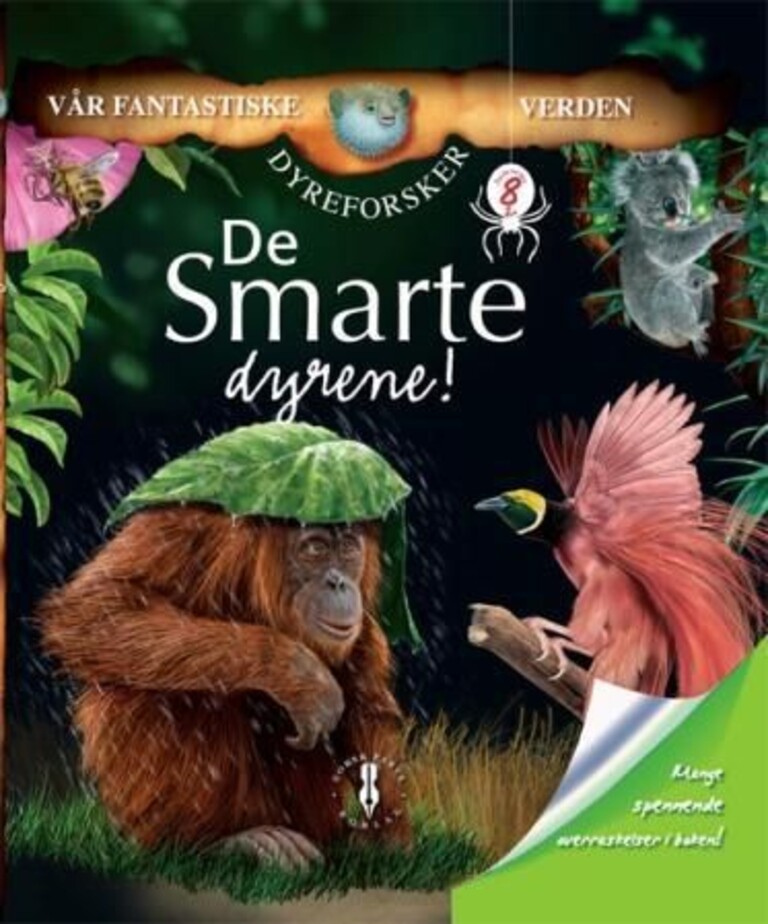 Forsidebilde