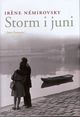 Cover photo:Storm i juni