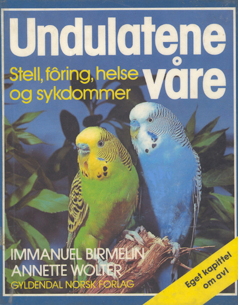 Forsidebilde
