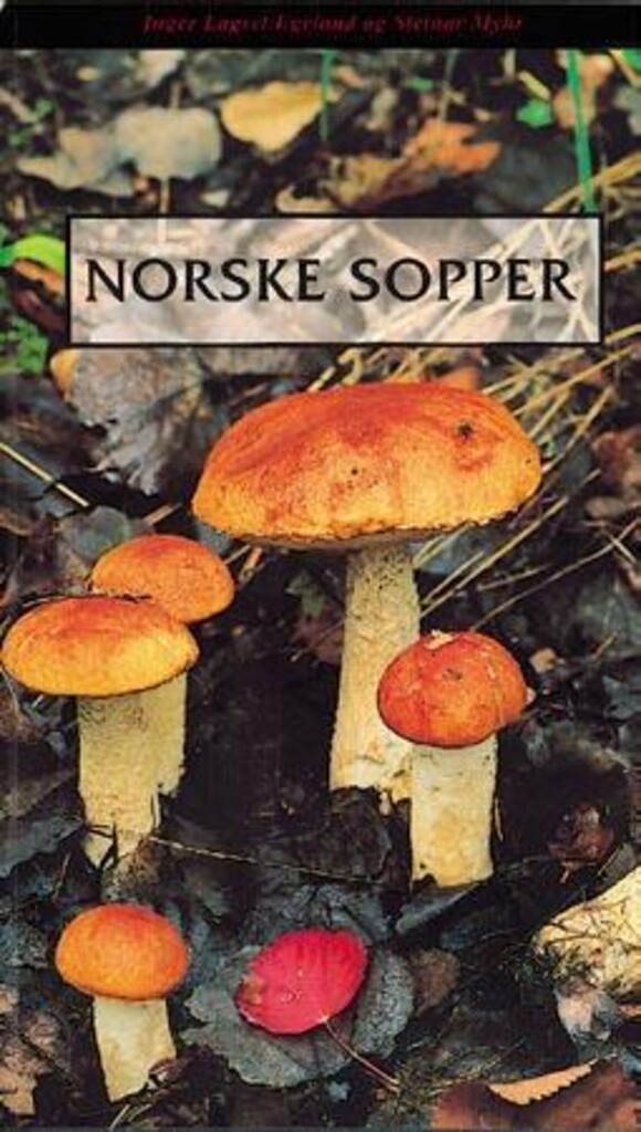 Forsidebilde