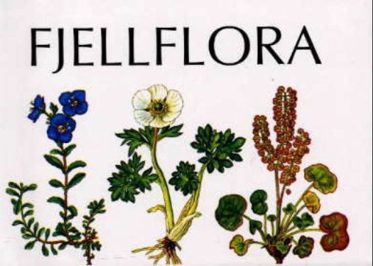 Forsidebilde