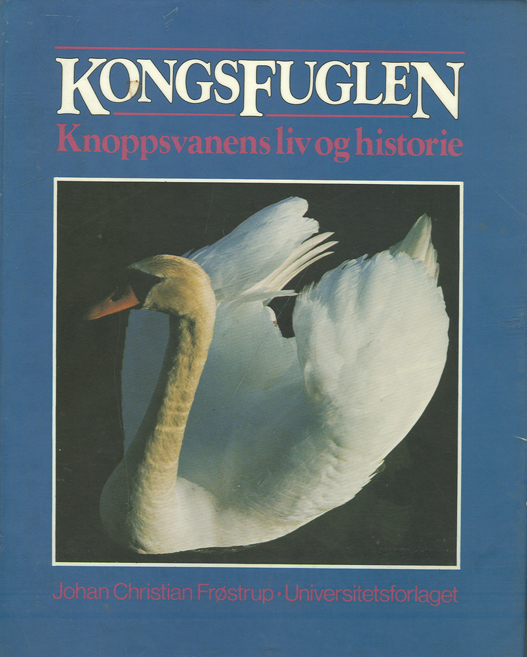 Forsidebilde