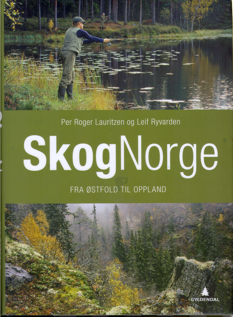 Skognorge. [Bind 1]. Fra Østfold til Oppland