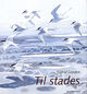 Omslagsbilde