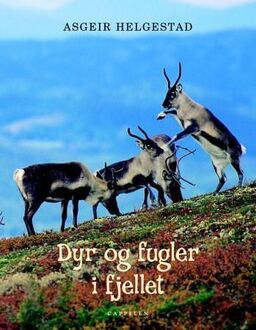 forsidebilde - trykk for å vise stor versjon