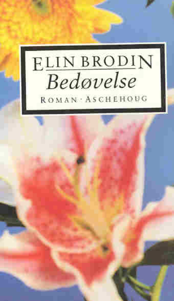Forsidebilde