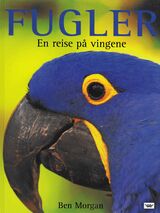 Forsidebilde