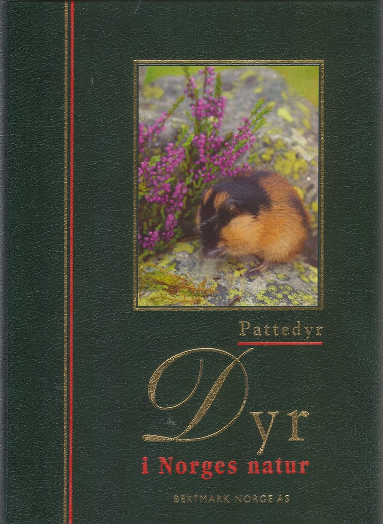 Forsidebilde