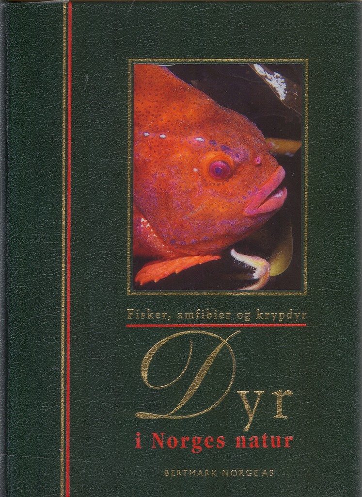 Forsidebilde