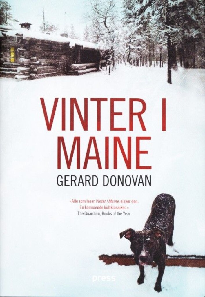 Vinter i Maine : roman
