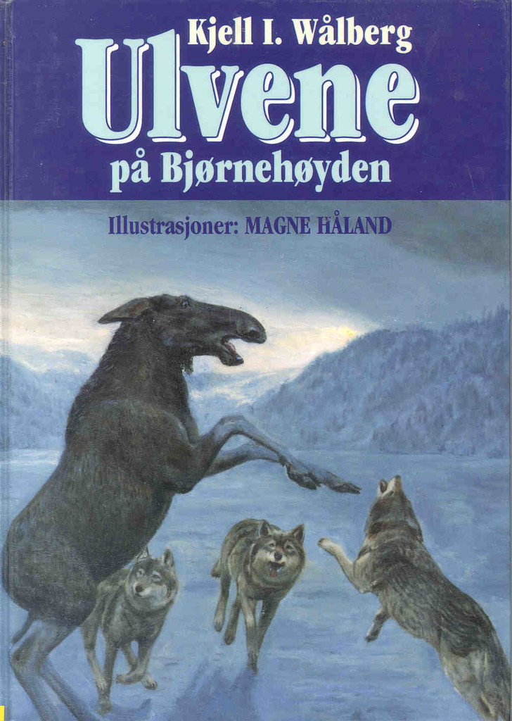 Forsidebilde