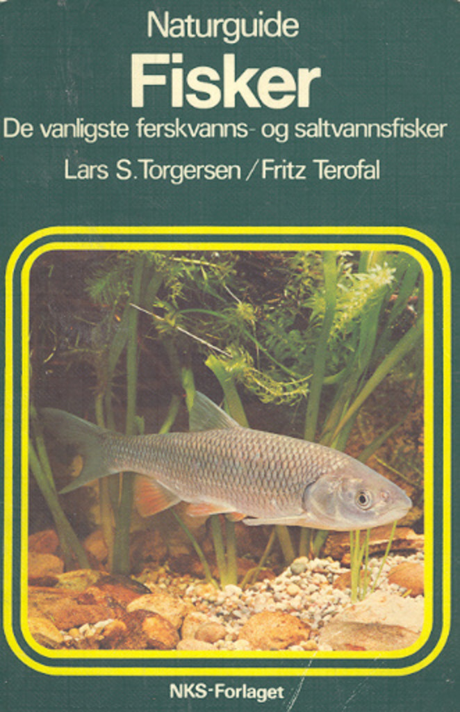 Forsidebilde