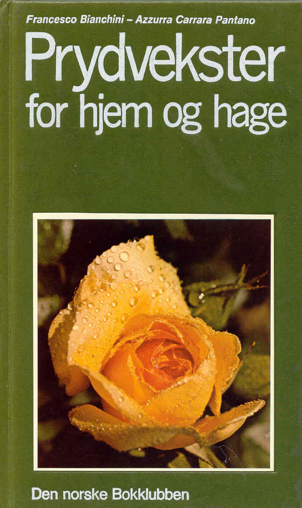 Forsidebilde