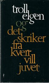 Omslagsbilde