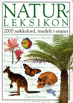 forsidebilde - trykk for å vise stor versjon