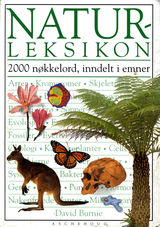 Omslagsbilde