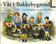 Omslagsbilde