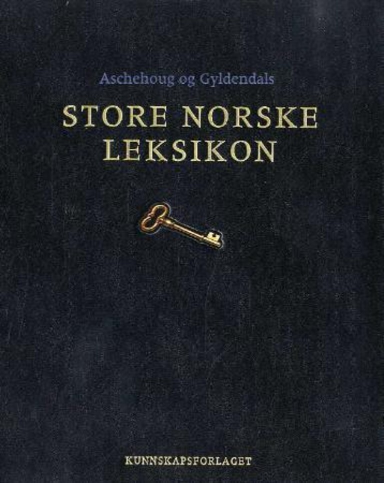 Forsidebilde