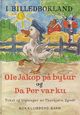 Omslagsbilde