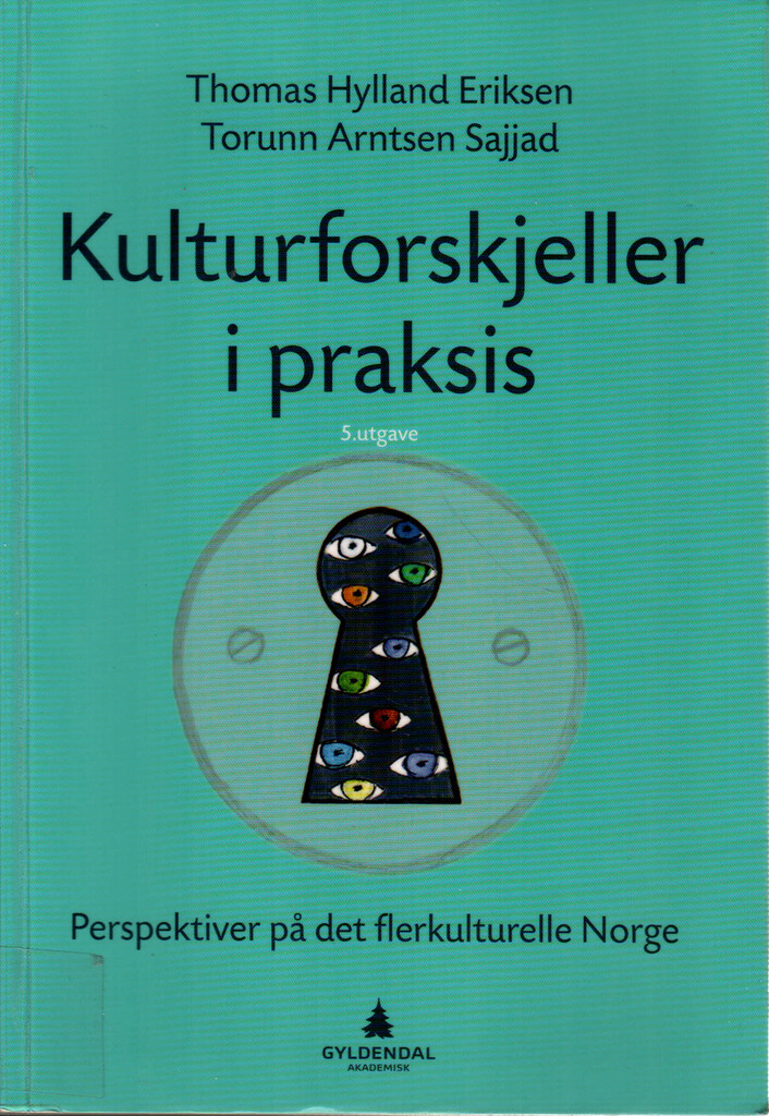 Kulturforskjeller i praksis : perspektiver på det flerkulturelle Norge