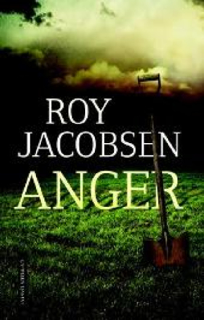 Anger : roman