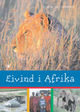 Omslagsbilde:Eivind i Afrika : møte med Serengeti