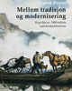 Omslagsbilde:Mellom tradisjon og modernisering : kapitler av 1880-tallets samferdselshistorie