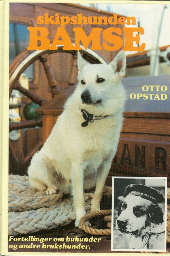 Forsidebilde