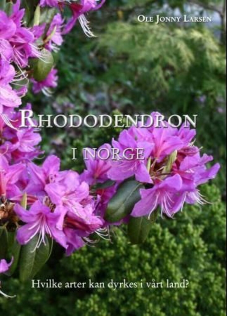 Rhododendron i Norge : hvilke arter kan dyrkes i vårt land?