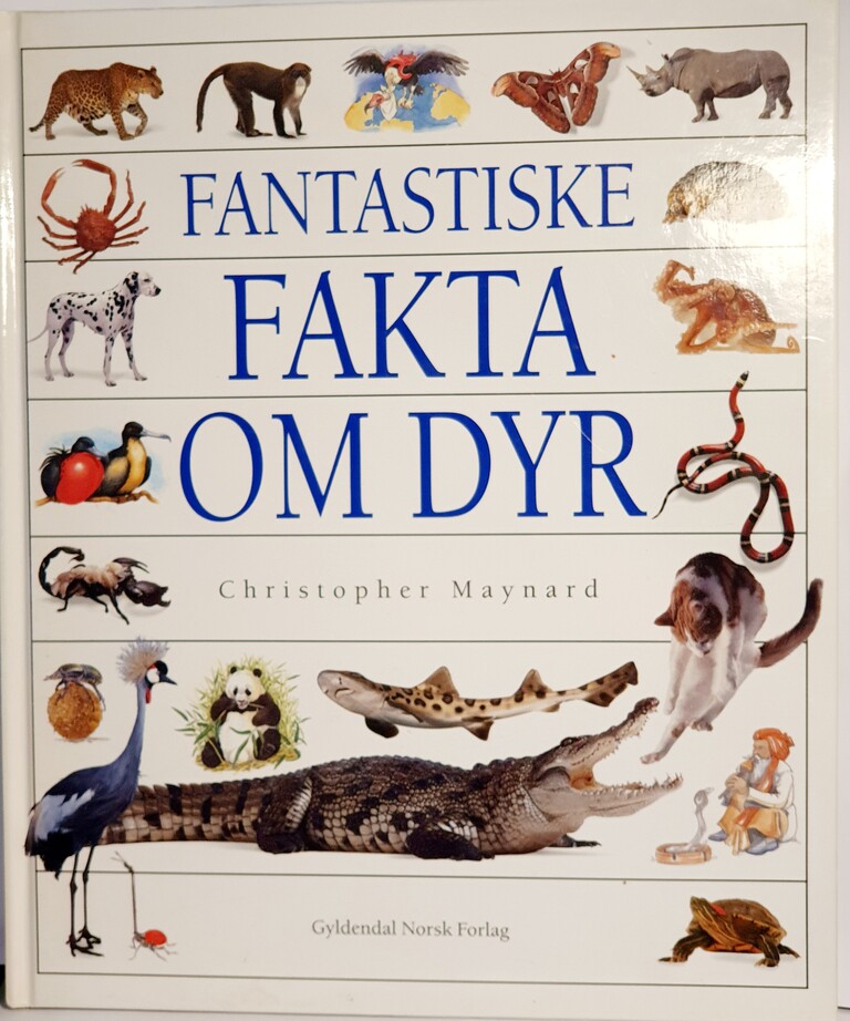 Forsidebilde