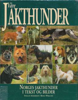 forsidebilde - trykk for å vise stor versjon