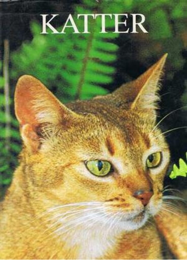 Forsidebilde