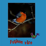 Forsidebilde