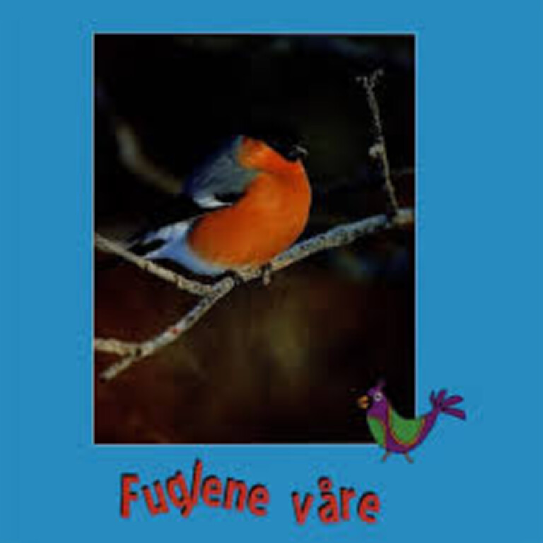 Forsidebilde