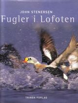 Forsidebilde