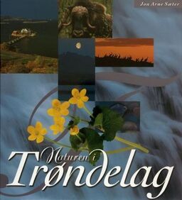 forsidebilde - trykk for å vise stor versjon